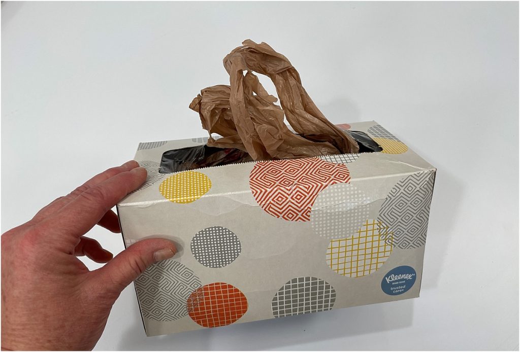 Reuse Old Kleenex Boxes as Bag Dispensers